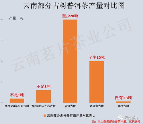 冰岛茶 何以成为茶中黄金？——解析其高价背后的自然与技术因素