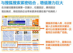 连云港网络技术推广与优化 信通网络公司的全方位服务解析